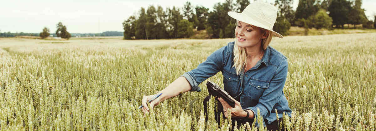Opportunity to Provide Input on National Programming for Farm Women