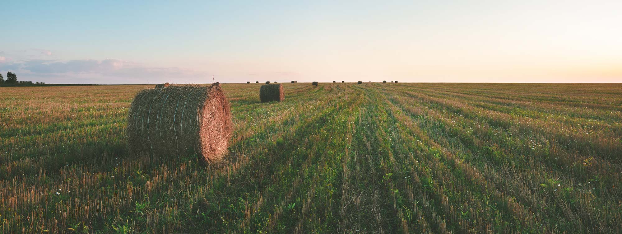 Attention Young Farmers: Register for LeaderShift InSight Today!