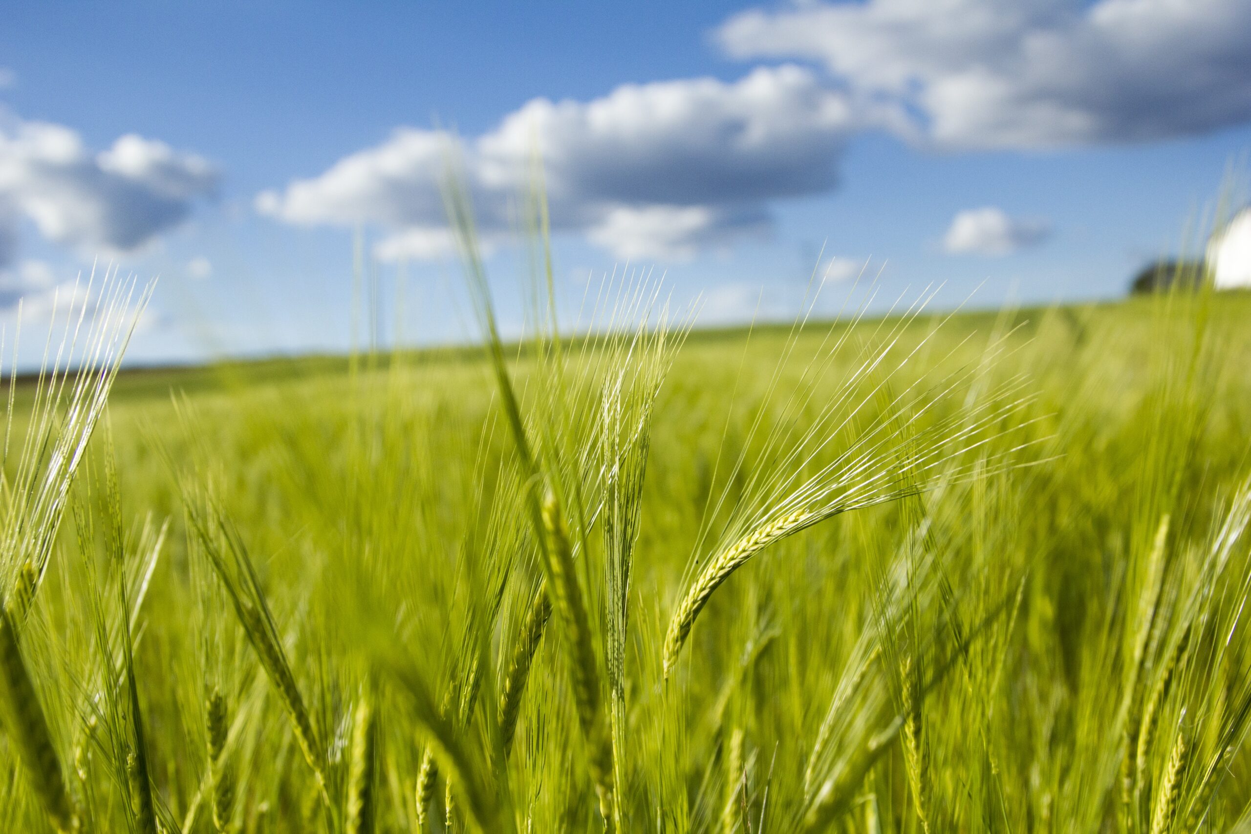 Gestion agricole du Canada fait part de ses défis et de ses réalisations et accueille de nouveaux administrateurs à l’occasion de son assemblée générale annuelle