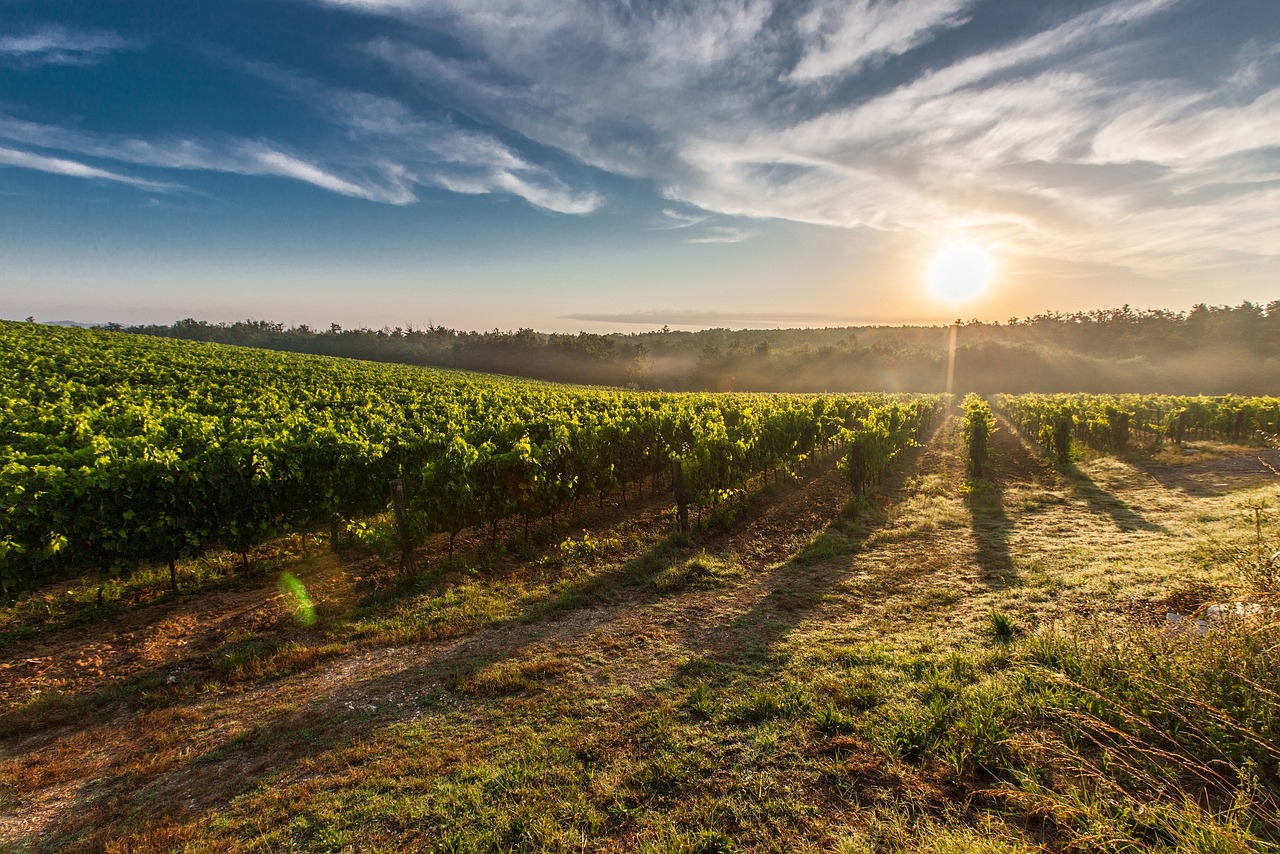 Research Seeking Farmer Input on Environmental Collective Bonus Payments