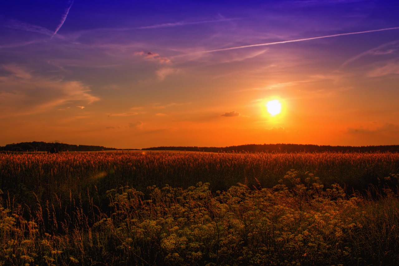 Farm Management Canada Celebrates a Year of Partnership, Growth and Impact